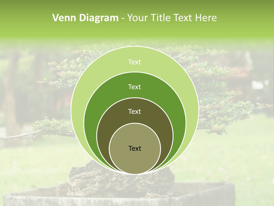 Small Fresh Tiny PowerPoint Template