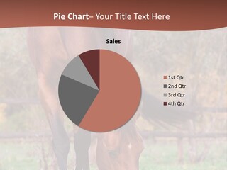 Pasture Riding Pose PowerPoint Template