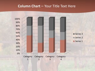 Pasture Riding Pose PowerPoint Template