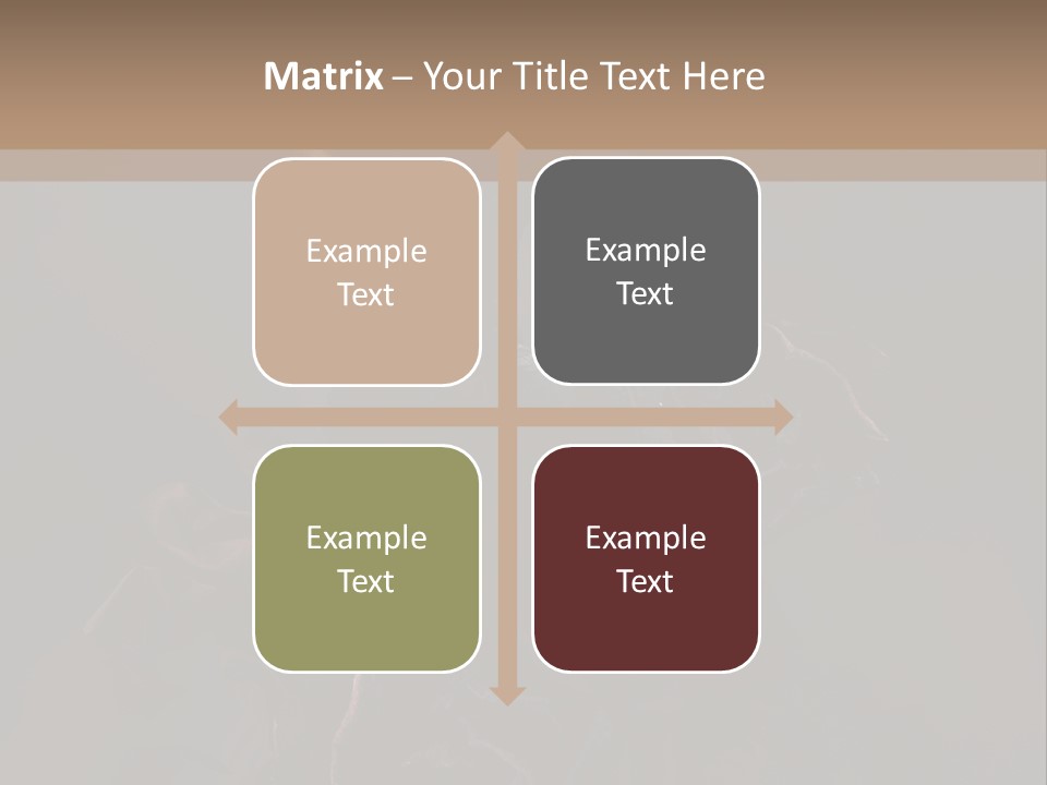 Serious Fashion Y PowerPoint Template