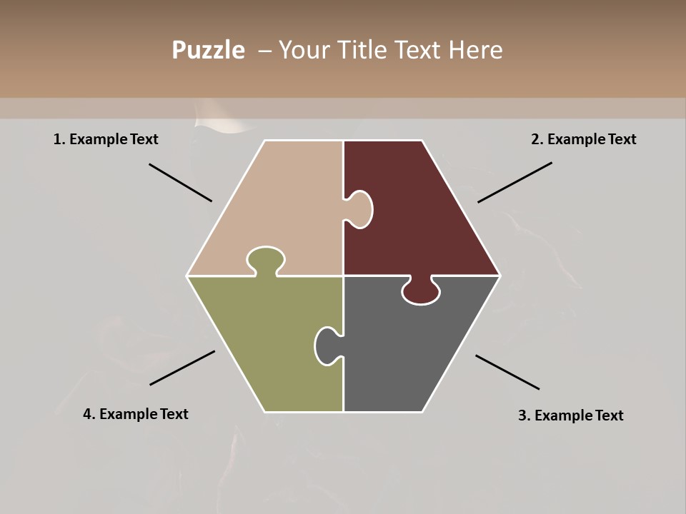 Serious Fashion Y PowerPoint Template