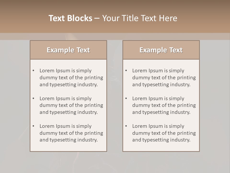 Serious Fashion Y PowerPoint Template