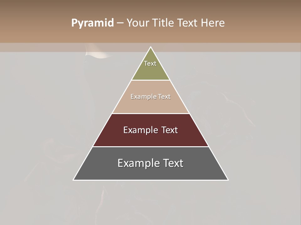 Serious Fashion Y PowerPoint Template