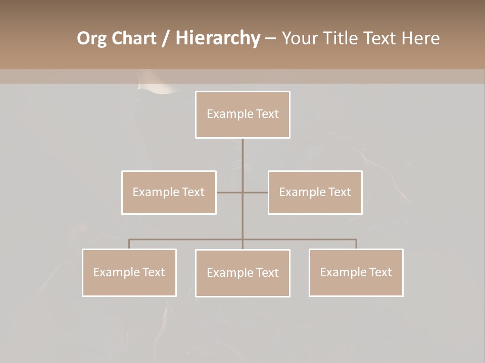 Serious Fashion Y PowerPoint Template