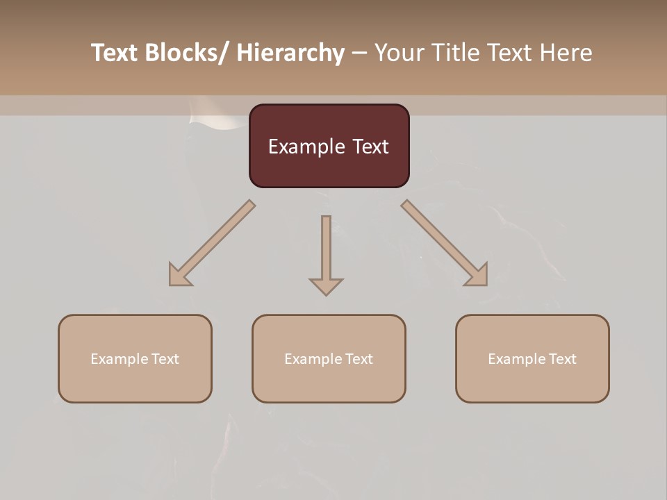 Serious Fashion Y PowerPoint Template