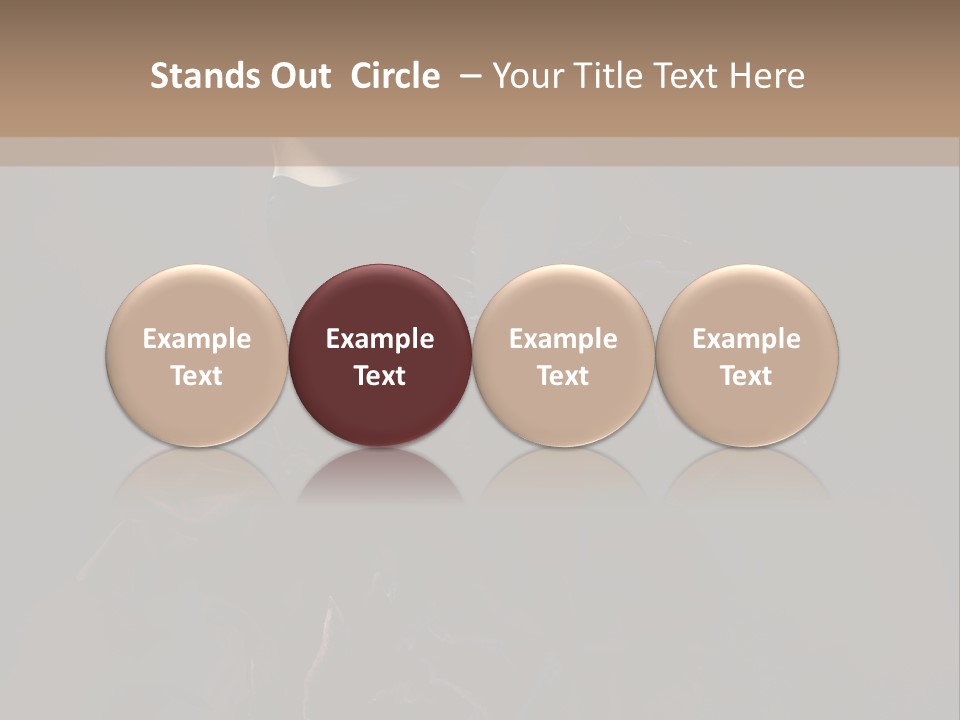 Serious Fashion Y PowerPoint Template