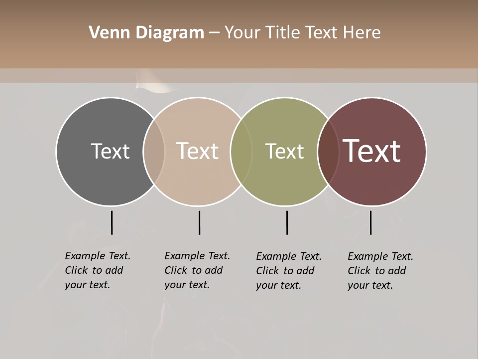 Serious Fashion Y PowerPoint Template