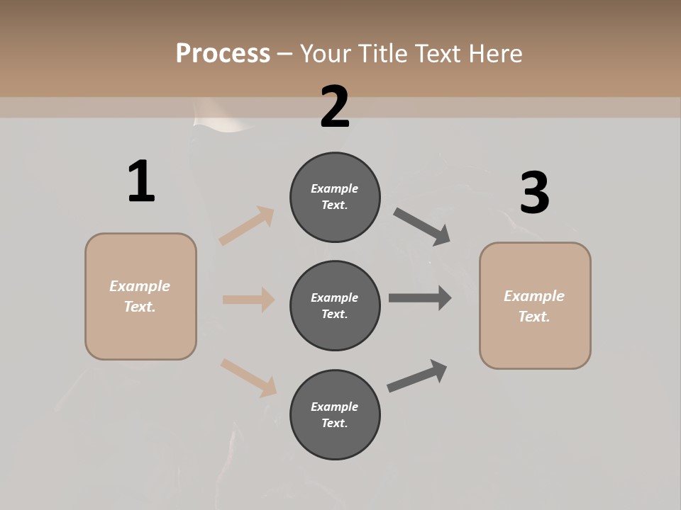 Serious Fashion Y PowerPoint Template