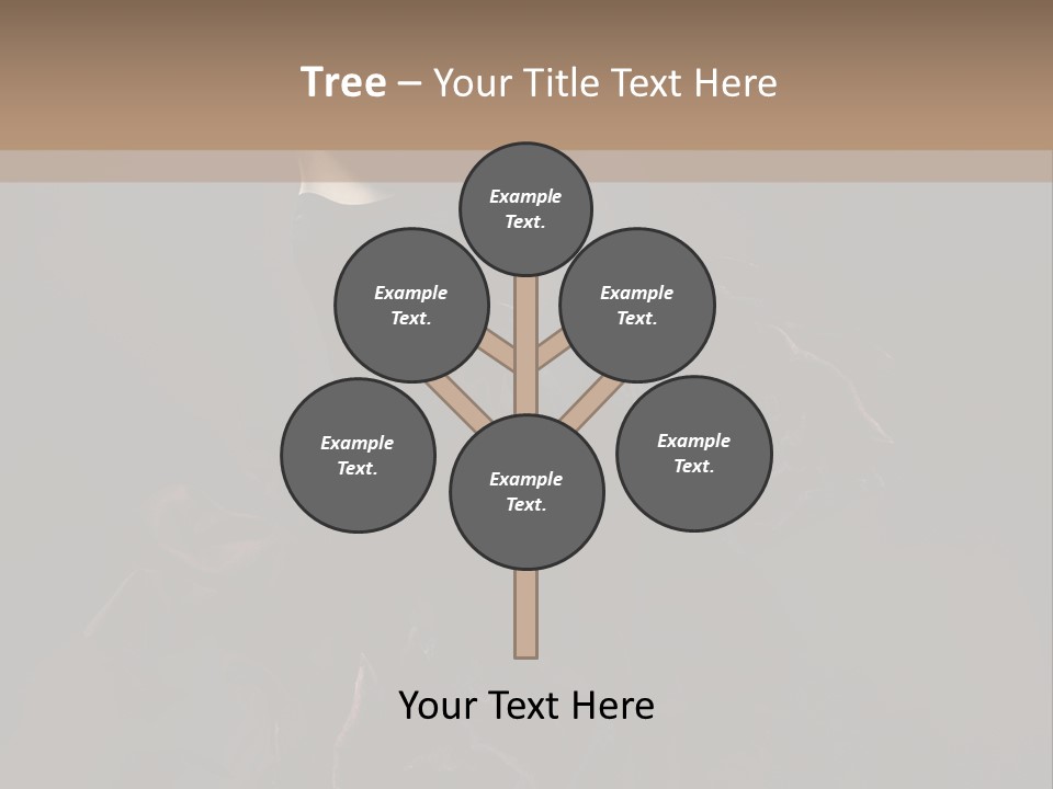 Serious Fashion Y PowerPoint Template
