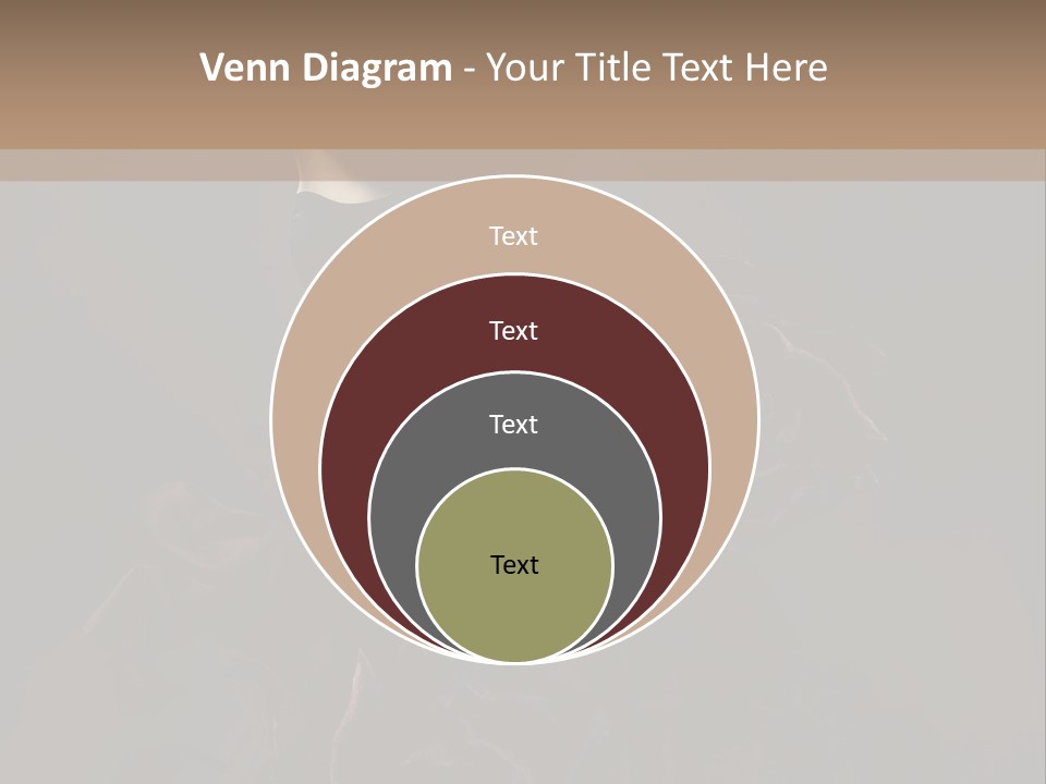 Serious Fashion Y PowerPoint Template