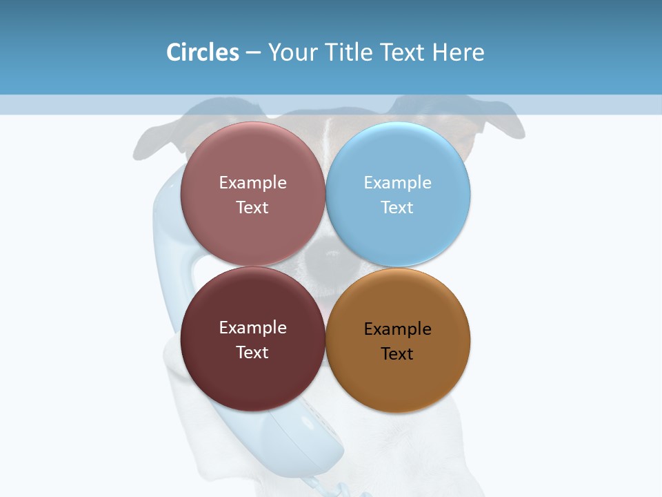 Business Talk Message PowerPoint Template