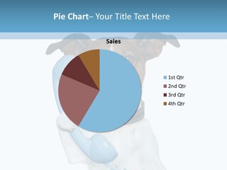 Business Talk Message PowerPoint Template