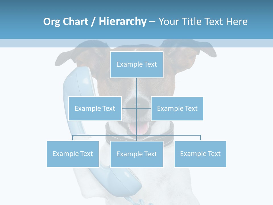 Business Talk Message PowerPoint Template