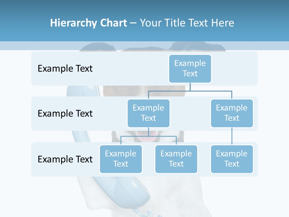 Business Talk Message PowerPoint Template