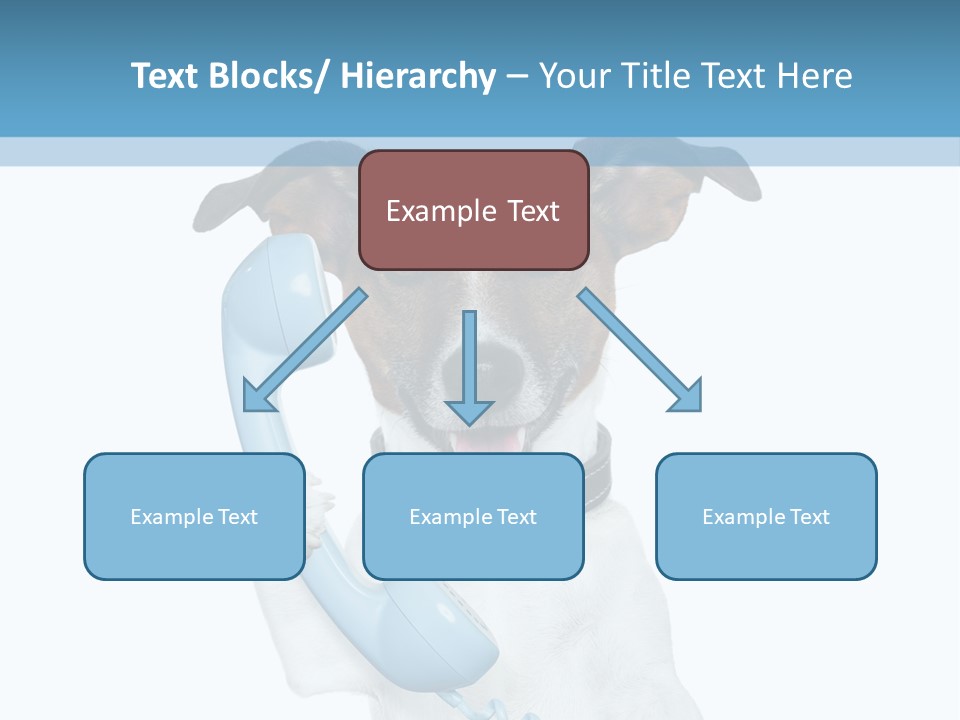 Business Talk Message PowerPoint Template