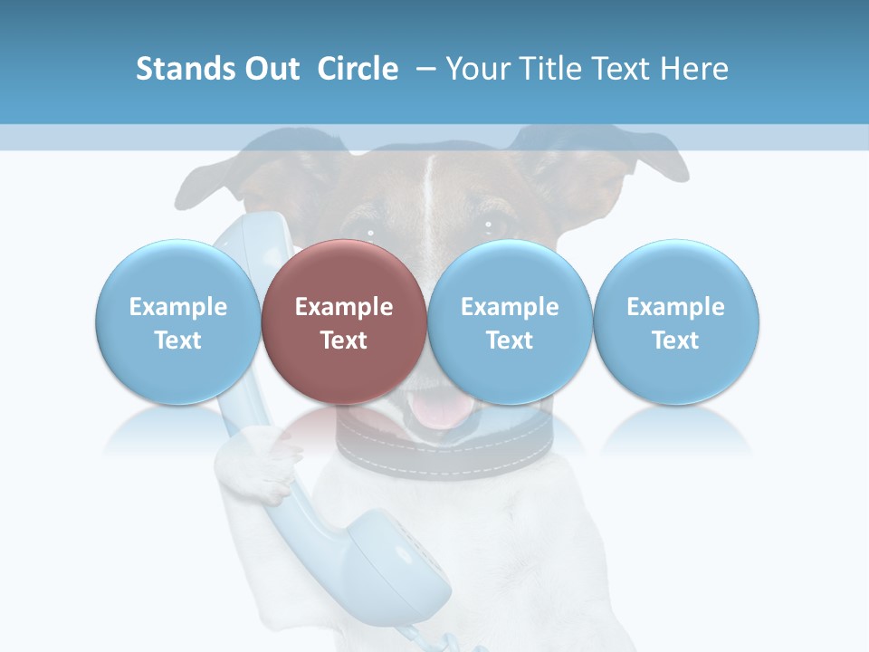 Business Talk Message PowerPoint Template