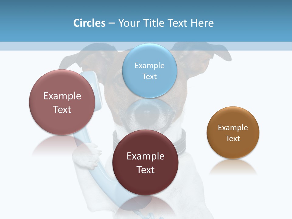 Business Talk Message PowerPoint Template