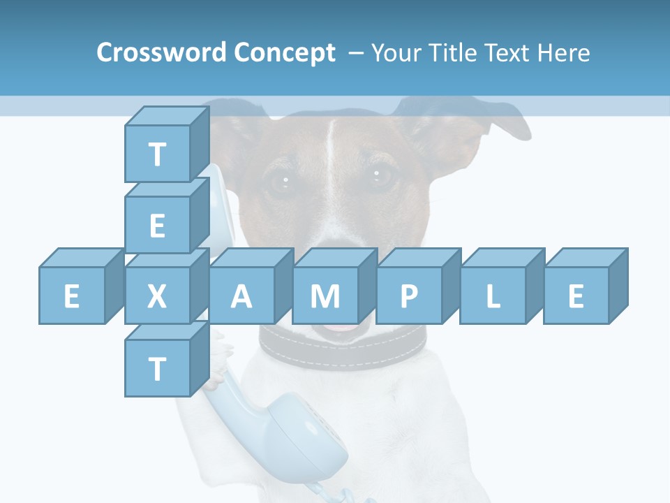 Business Talk Message PowerPoint Template