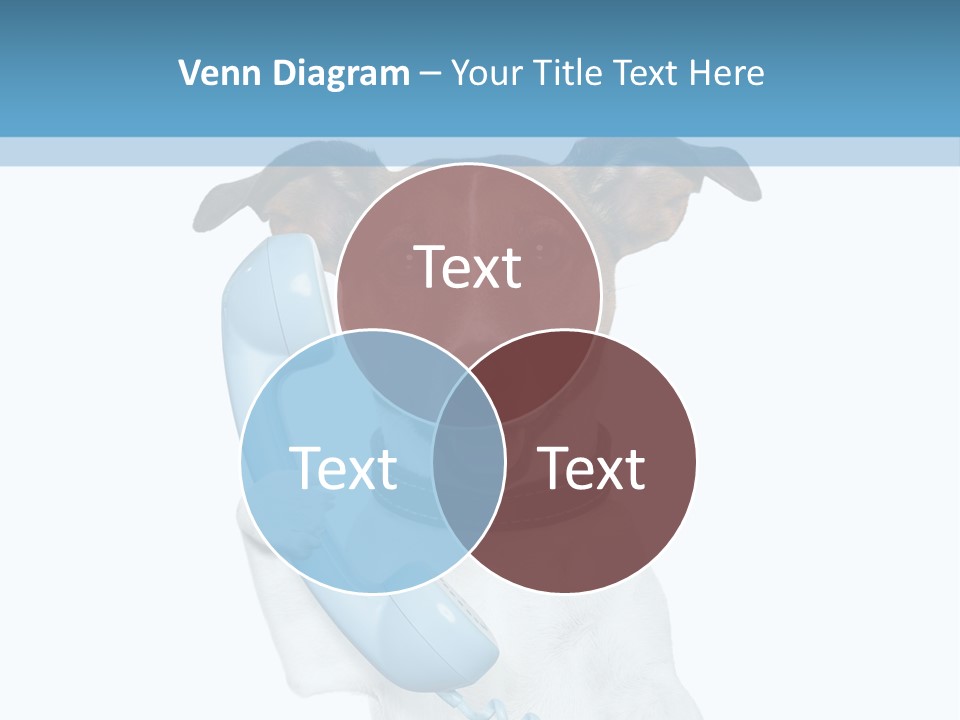 Business Talk Message PowerPoint Template
