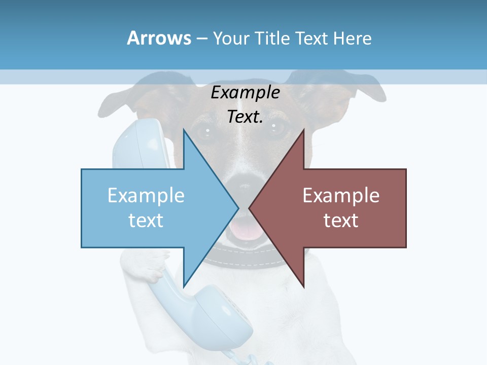 Business Talk Message PowerPoint Template