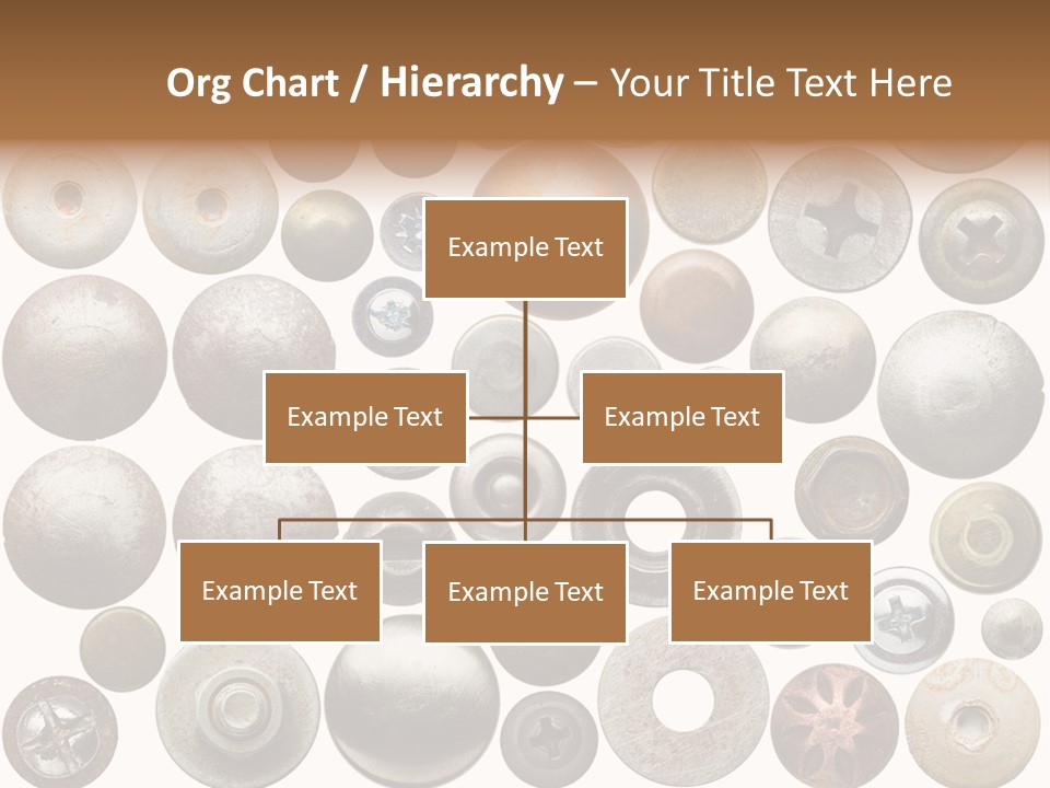 Part Shiny Nut PowerPoint Template