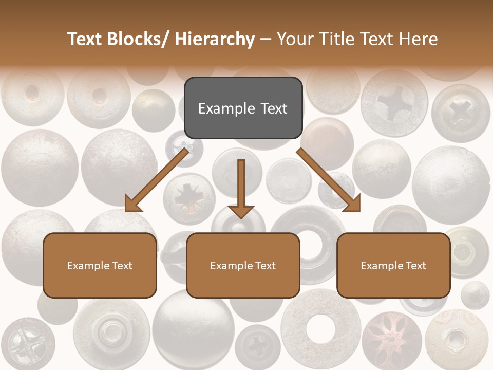 Part Shiny Nut PowerPoint Template
