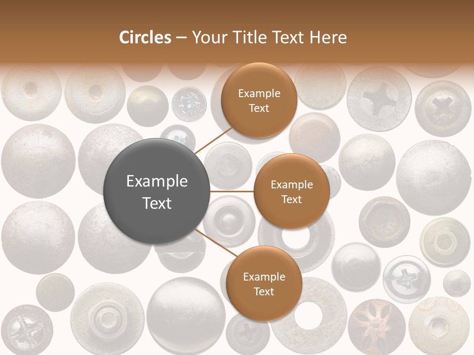 Part Shiny Nut PowerPoint Template