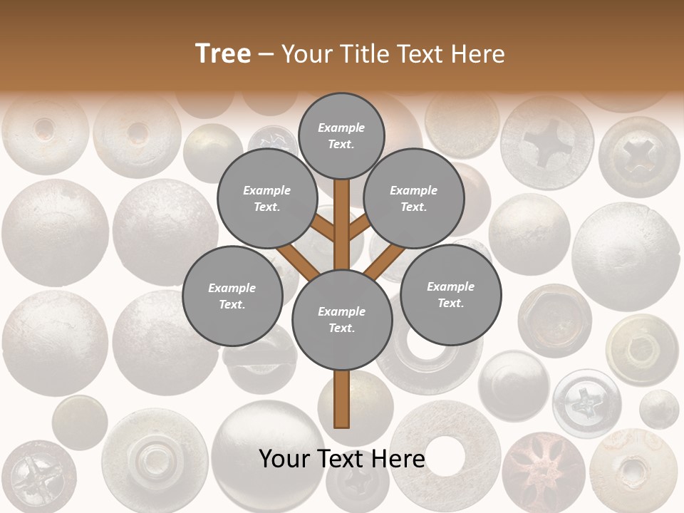 Part Shiny Nut PowerPoint Template