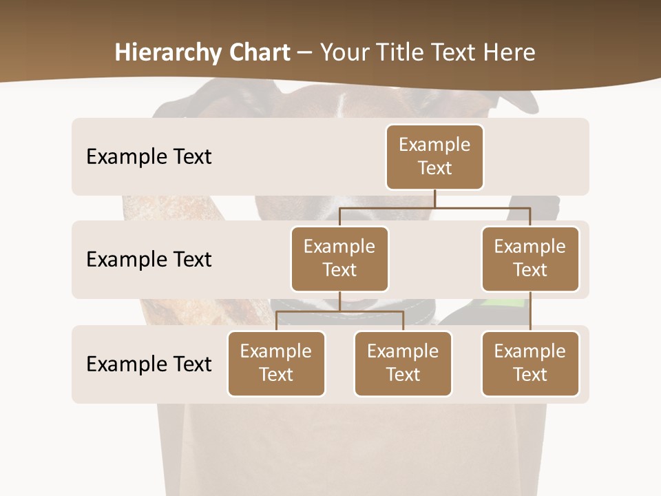 Fresh Background Shopping Bag PowerPoint Template