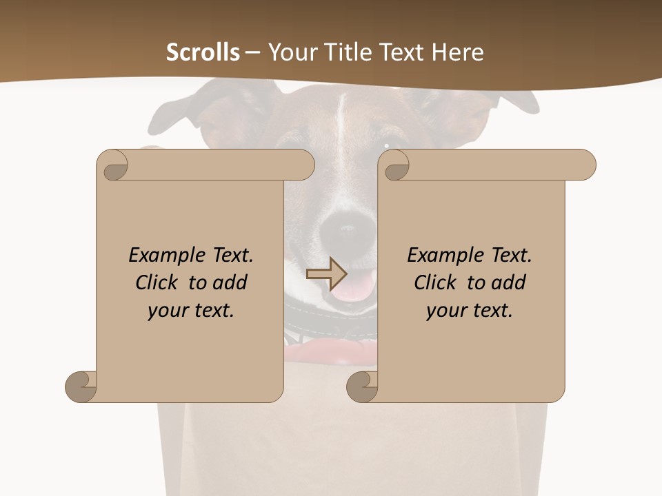 Fresh Background Shopping Bag PowerPoint Template
