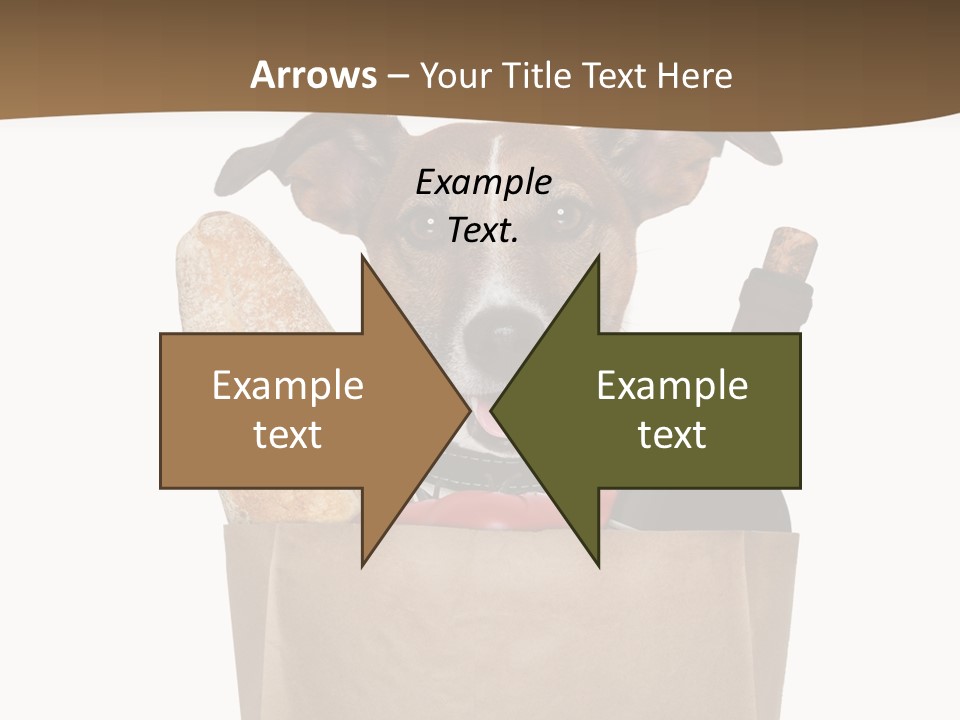 Fresh Background Shopping Bag PowerPoint Template