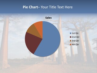 Countryside Centenary Impressive PowerPoint Template