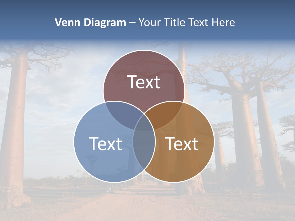 Countryside Centenary Impressive PowerPoint Template