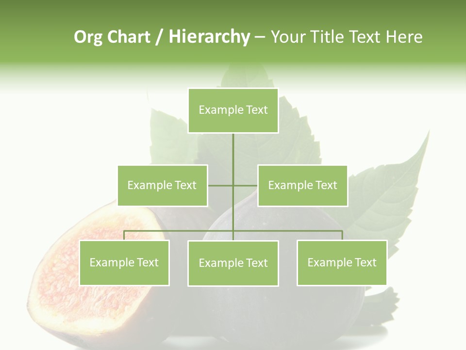 Nutrition Exotic Round PowerPoint Template