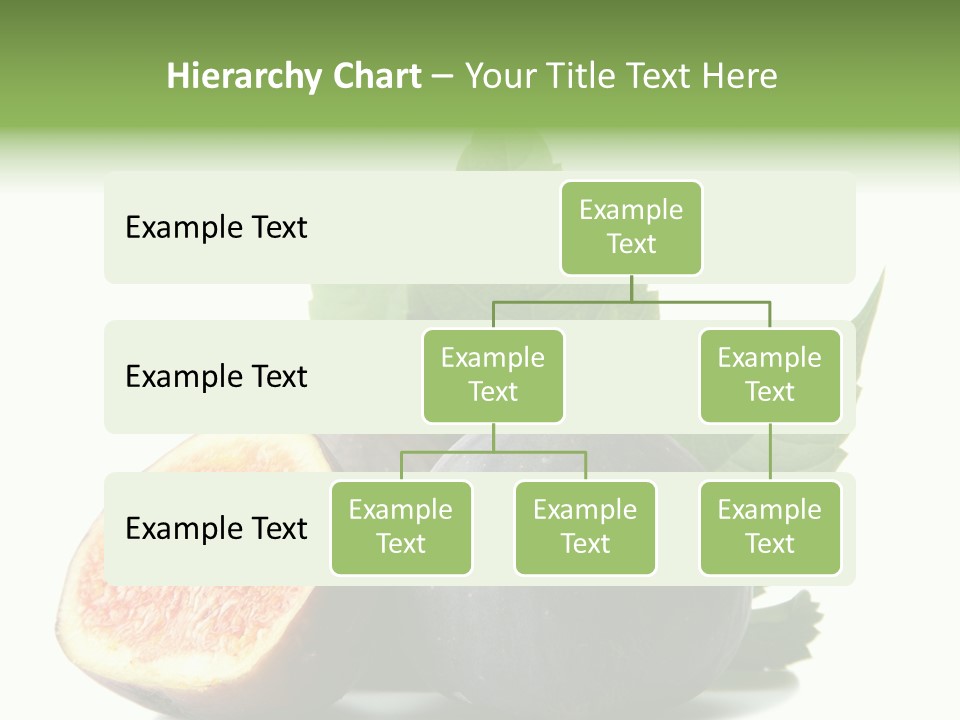 Nutrition Exotic Round PowerPoint Template