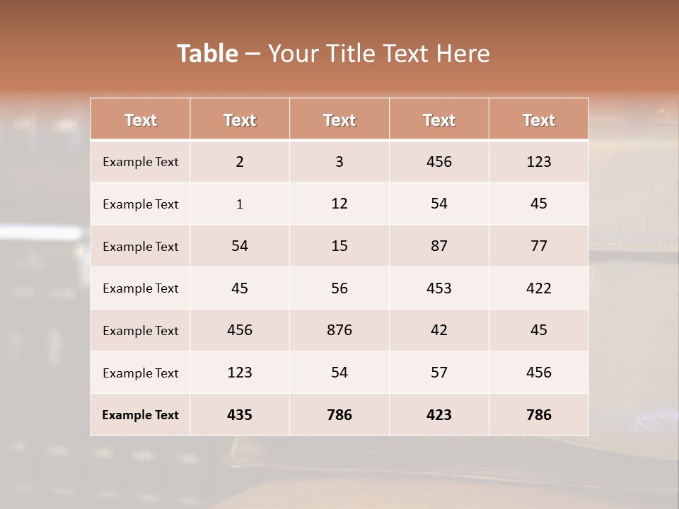 Lawyer Briefcase Barrister PowerPoint Template