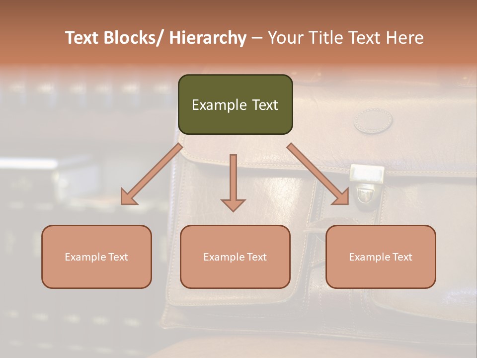 Lawyer Briefcase Barrister PowerPoint Template