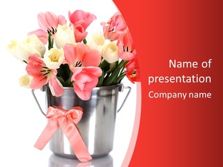 Colour Decorative Floral PowerPoint Template