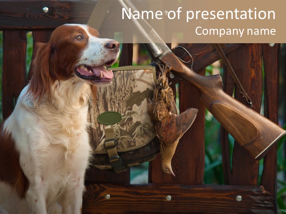 Red Breed Pursuit PowerPoint Template