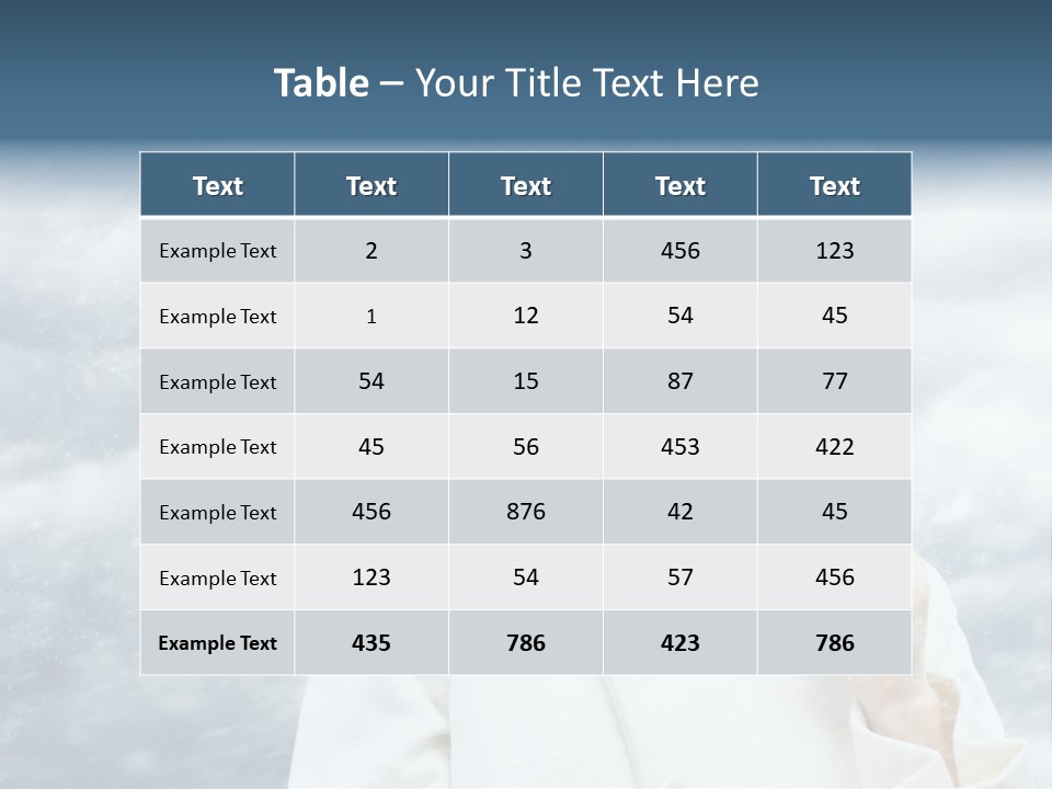 Leisure Frost Fashion PowerPoint Template