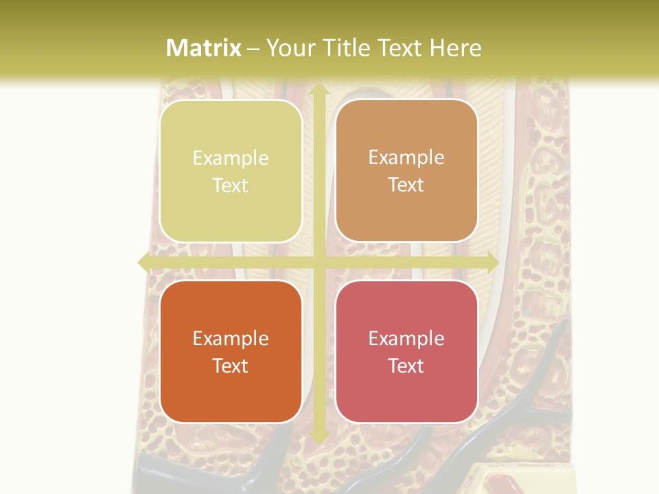 Shake Beautiful Teenager PowerPoint Template