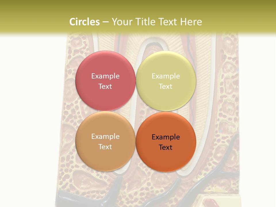 Shake Beautiful Teenager PowerPoint Template