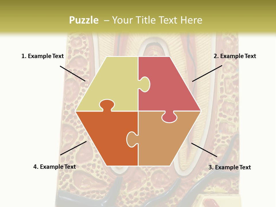 Shake Beautiful Teenager PowerPoint Template