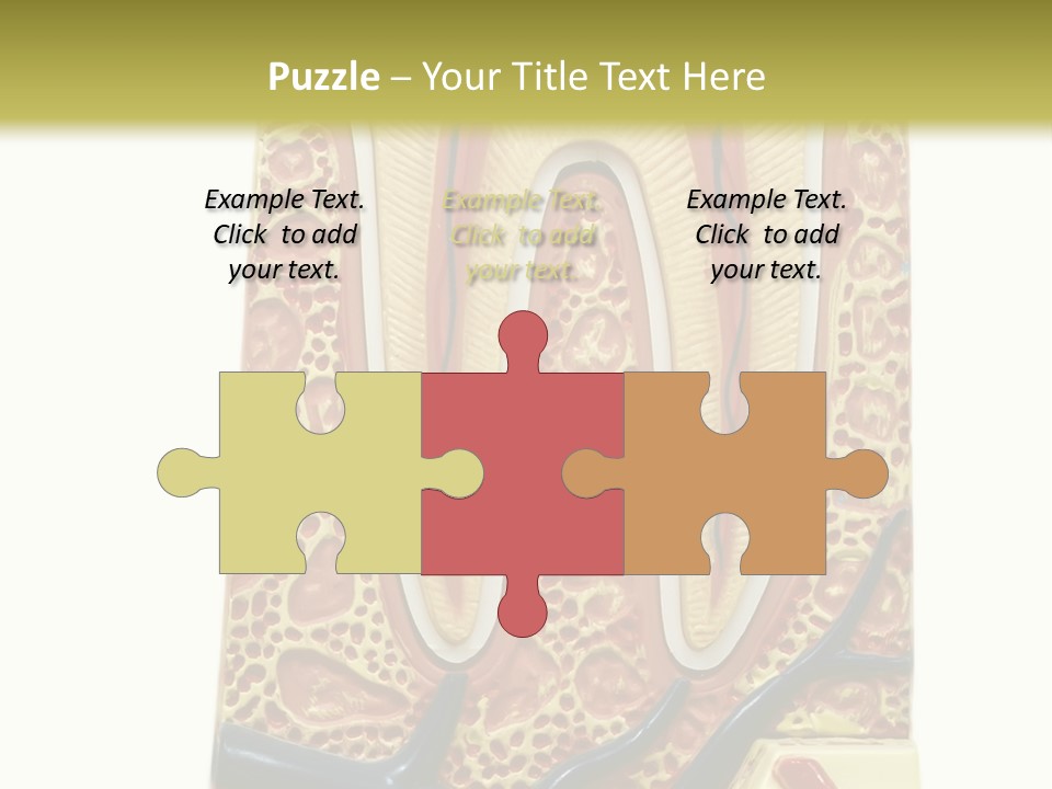 Shake Beautiful Teenager PowerPoint Template