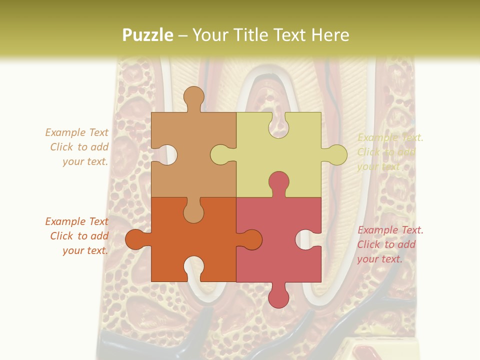 Shake Beautiful Teenager PowerPoint Template