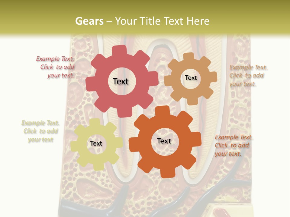 Shake Beautiful Teenager PowerPoint Template