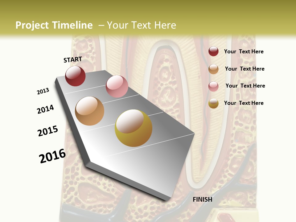 Shake Beautiful Teenager PowerPoint Template