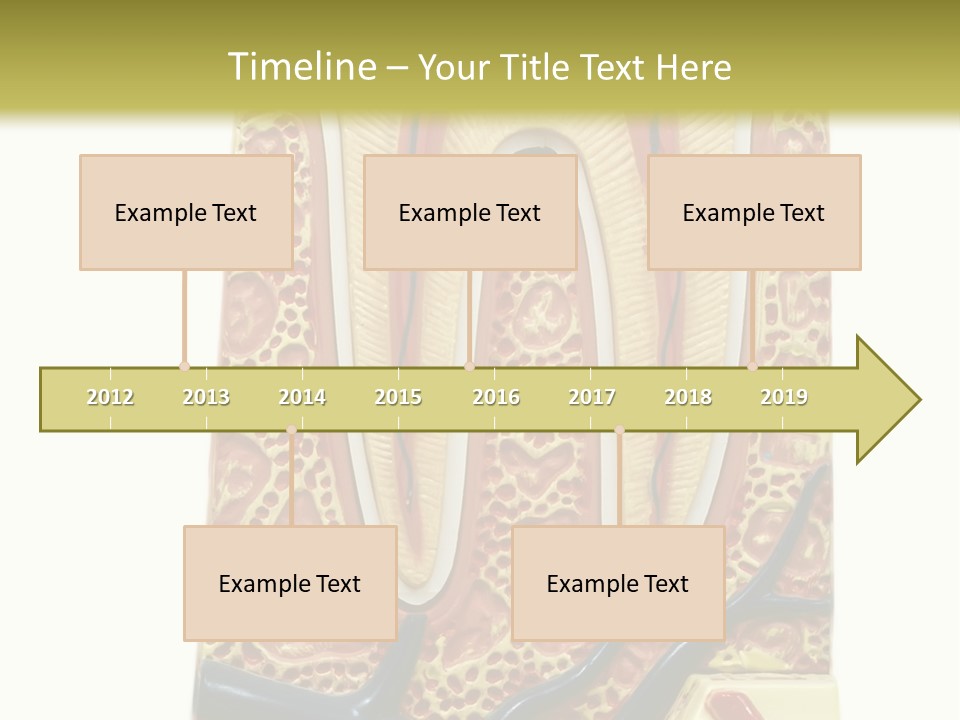 Shake Beautiful Teenager PowerPoint Template