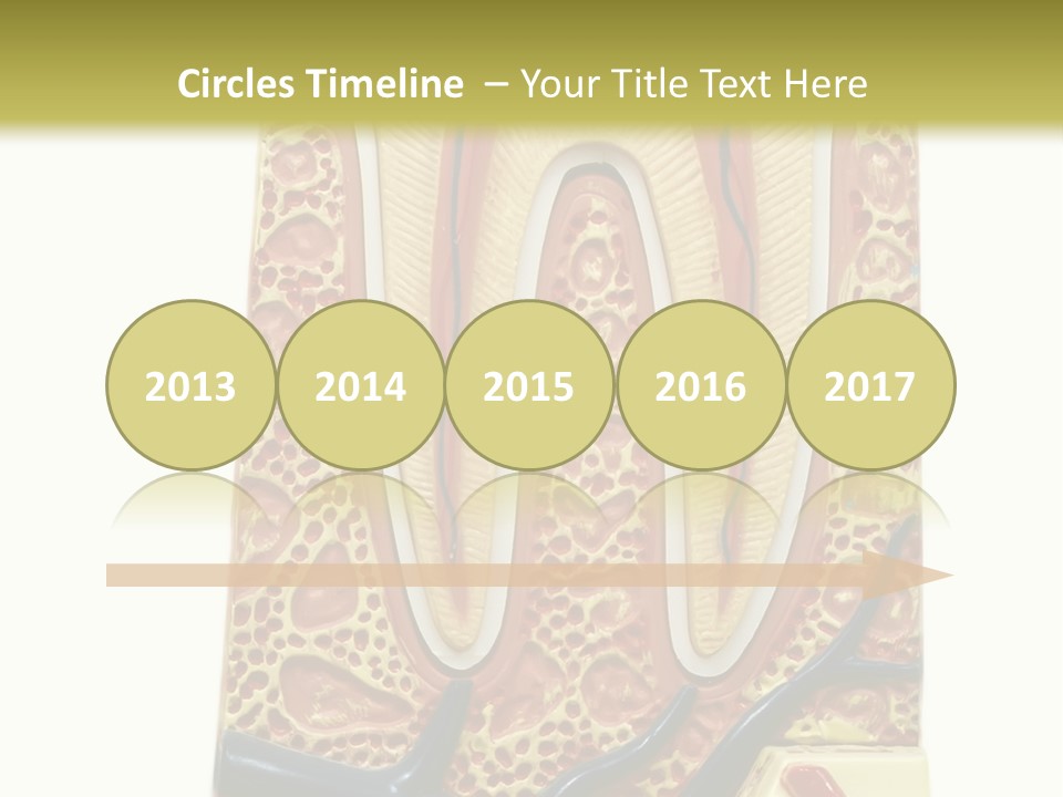 Shake Beautiful Teenager PowerPoint Template