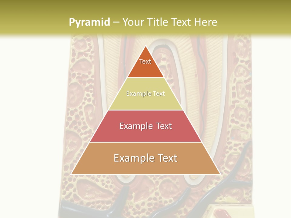 Shake Beautiful Teenager PowerPoint Template